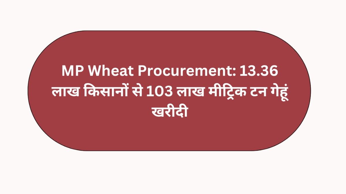 Wheat