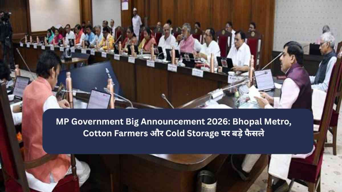 MP Cabinet